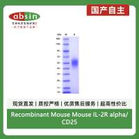 Recombinant Mouse Mouse IL-2R alpha/CD25 Protein(C-hFc)