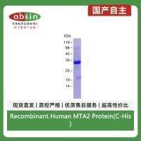 Recombinant Human MTA2 Protein(C-His)