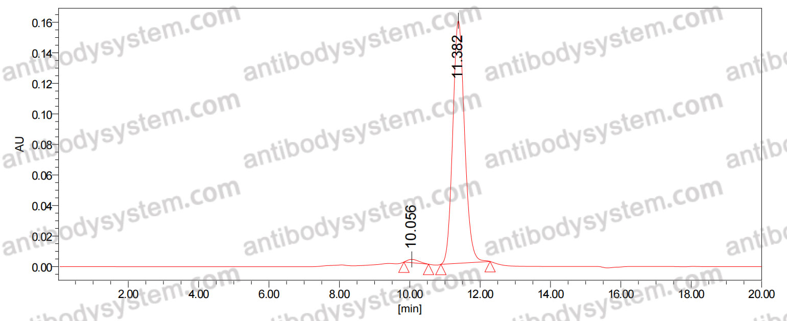 AntibodySystem蛋白抗体 | Research Grade Anti-Human IL11 Antibody (BI 765423) (DHD42202) / 研究级抗人IL-11抗体 (BI 765423)：同类首创IL-11抑制剂研究级生物类似药，助力抗纤维化药物研发