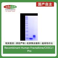 Recombinant Human Fractalkine/CX3CL1 Protein