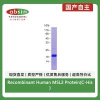 Recombinant Human MSL2 Protein(C-His)