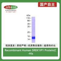 Recombinant Human SREK1IP1 Protein(C-His)
