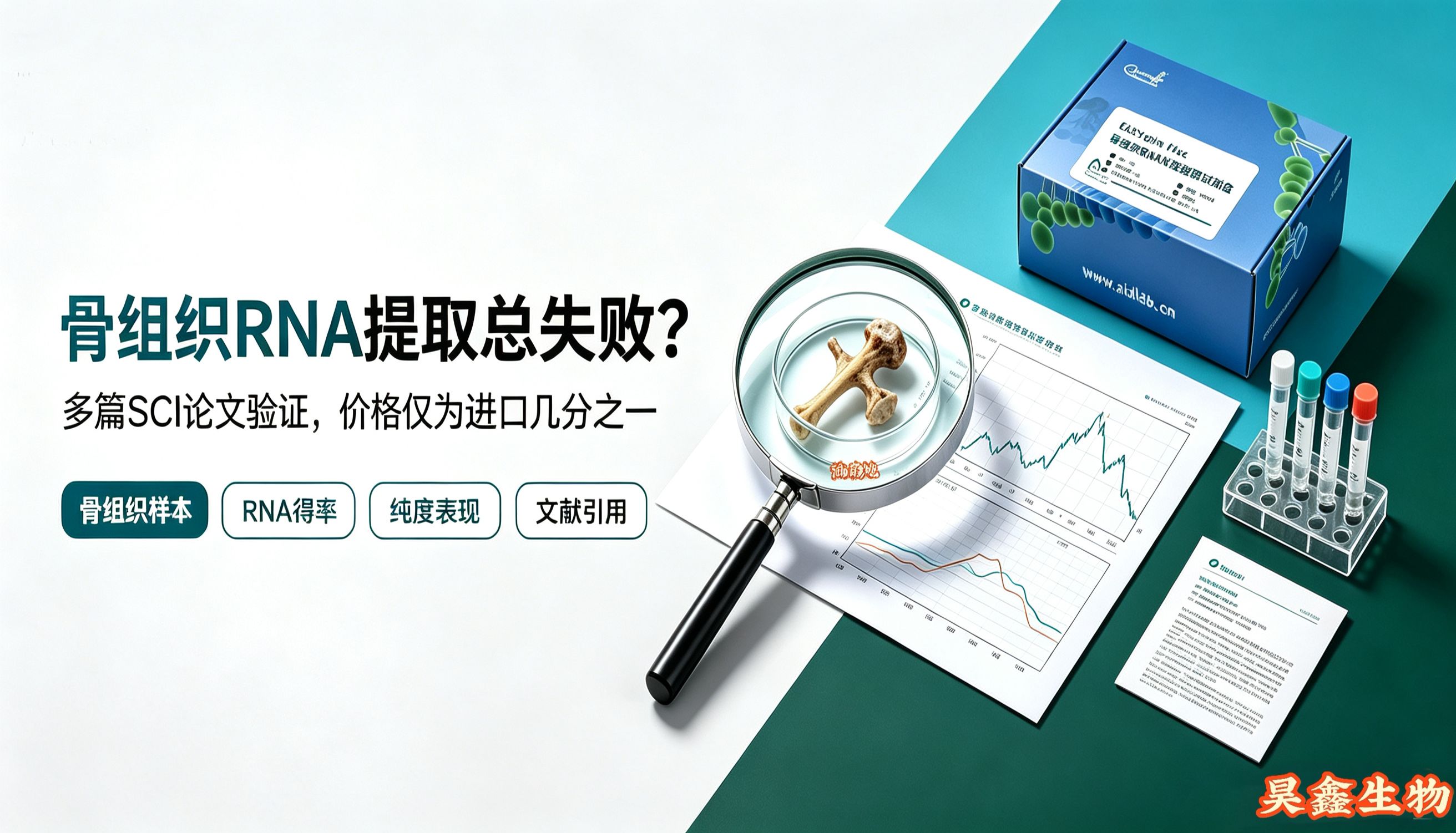 骨组织 RNA 提取反复踩坑？RN54 试剂盒多篇 SCI 文献验证