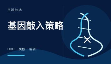 CRISPR基因敲入为什么比敲除难