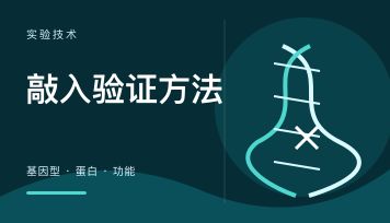 CRISPR KI一般有哪些验证方法