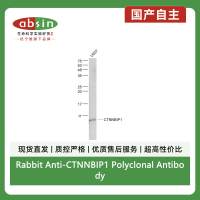 Rabbit Anti-CTNNBIP1 Polyclonal Antibody