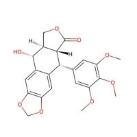 鬼臼毒素,518-28-5,≥98%,阿拉丁