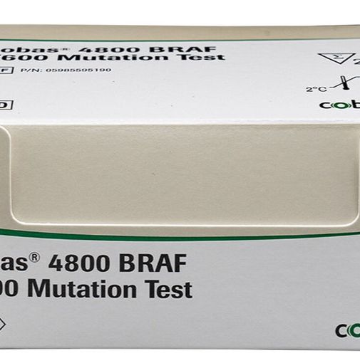 Roche 6896383001 MTHFR A1298C CE-IVD TIB产品图