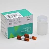 凯基 双染细胞凋亡检测试剂盒 (现货)KGA108
