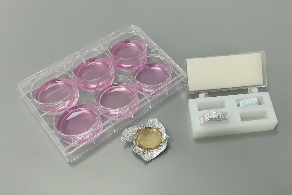 细胞爬片(24孔板,直径14mm,圆形)产品图