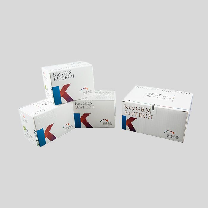 凯基TUNEL细胞凋亡检测试剂盒(FITC标记POD法,通用) 现货供应KGA7051产品图
