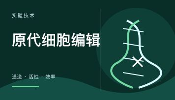 CRISPR编辑原代细胞难点有哪些