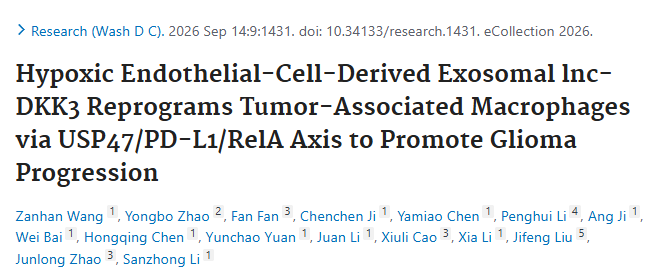 外泌体介导微环境 “暗箱” 被破译！Research12+｜缺氧内皮外泌体 lnc-DKK3，解锁胶质瘤巨噬细胞重编程新机制