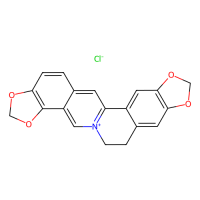 盐酸黄连碱,6020-18-4,2mM in DMSO,阿拉丁