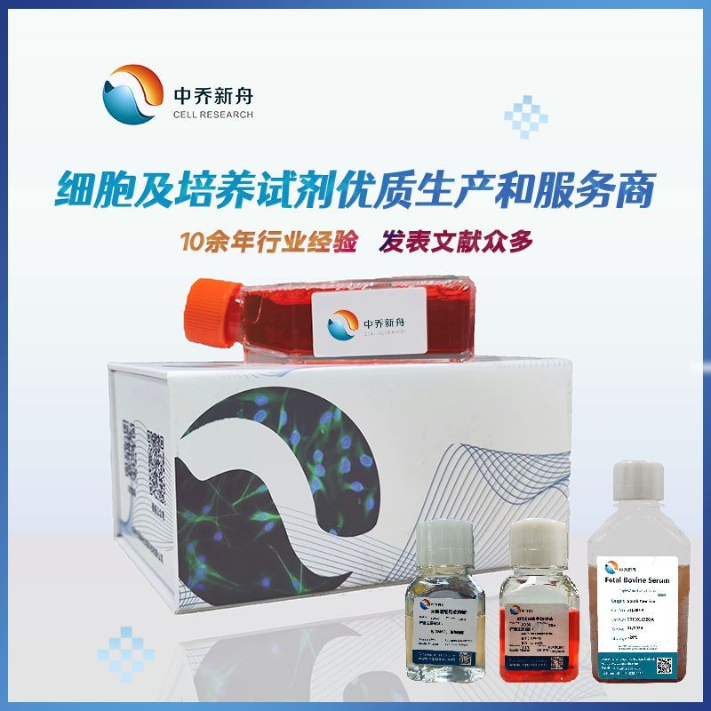 类器官冻存液