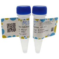 核糖核酸酶抑制剂(鼠源,40U/μL),重组, BioReagent, 无DNA酶和RNA酶, 分子生物学级, for DNA and RNA applications, ≥95%(SDS-PAGE), 40U/μl,阿拉丁
