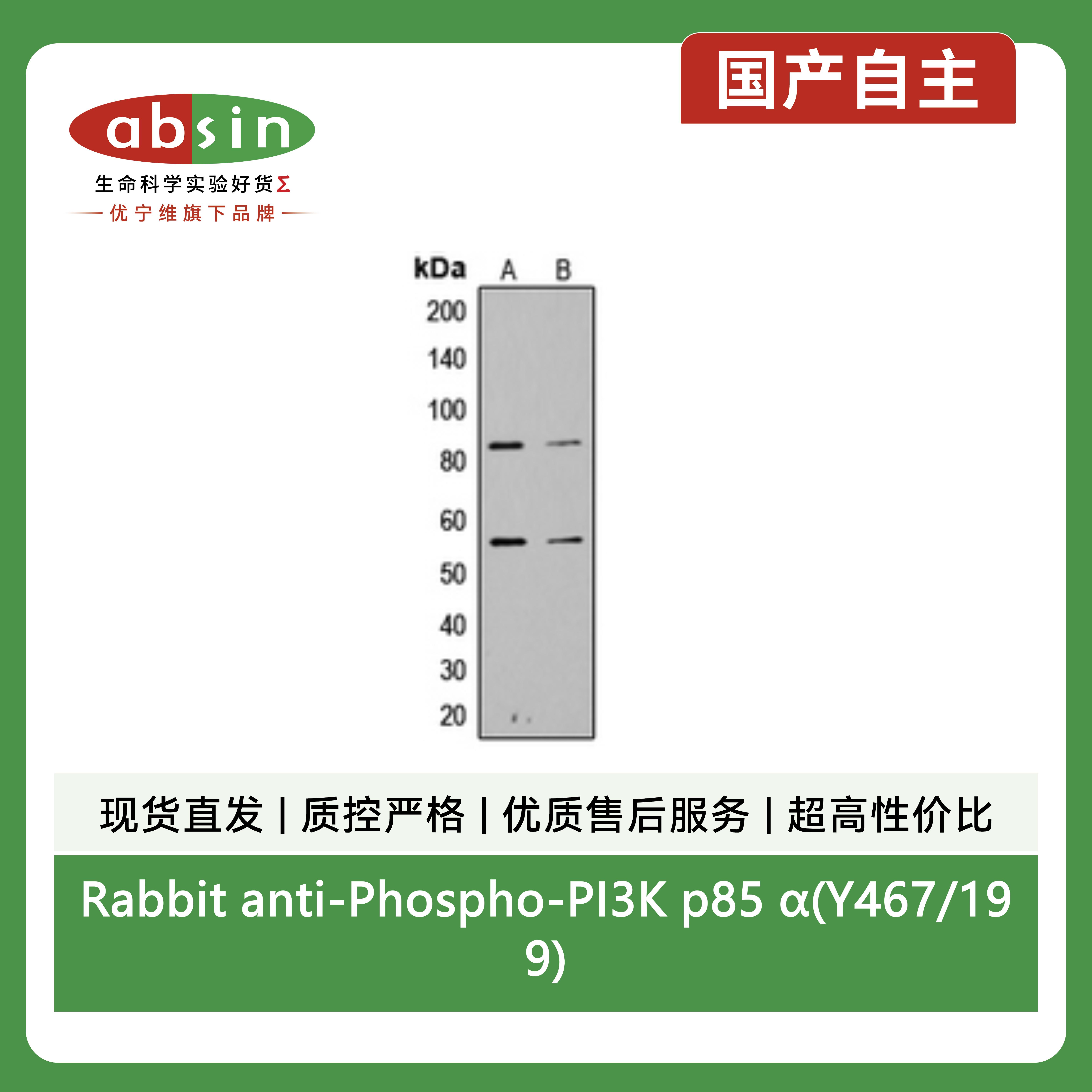 产品细节图片2