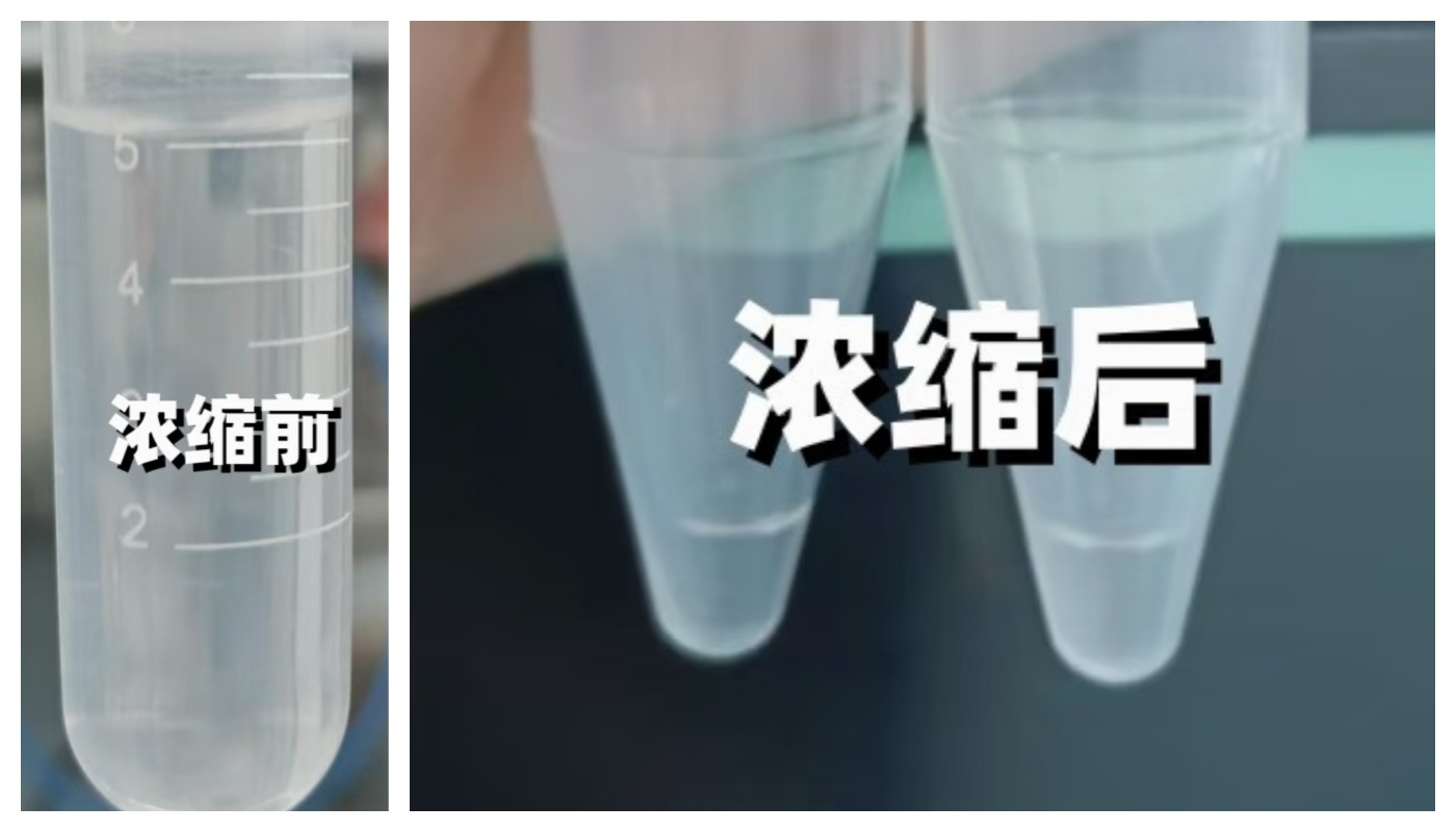 新闻图片2