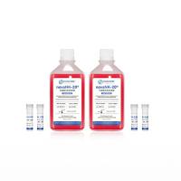 Kit04 免包被NK细胞激活扩增试剂盒
