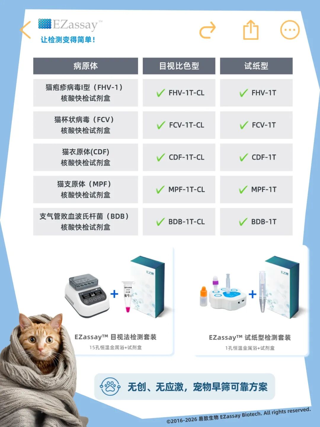 猫咪呼吸道有问题，铲屎官如何居家快速筛查？