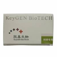 成心肌鉴定cTnI免疫荧光试剂盒（IF）KGA359