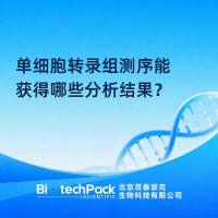 单细胞转录组测序能获得哪些分析结果？