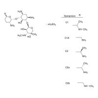 庆大霉素 溶液,1405-41-0,BioReagent, 用于细胞培养, liquid,0.1μm filtered,10 mg/ml in deionized water,阿拉丁