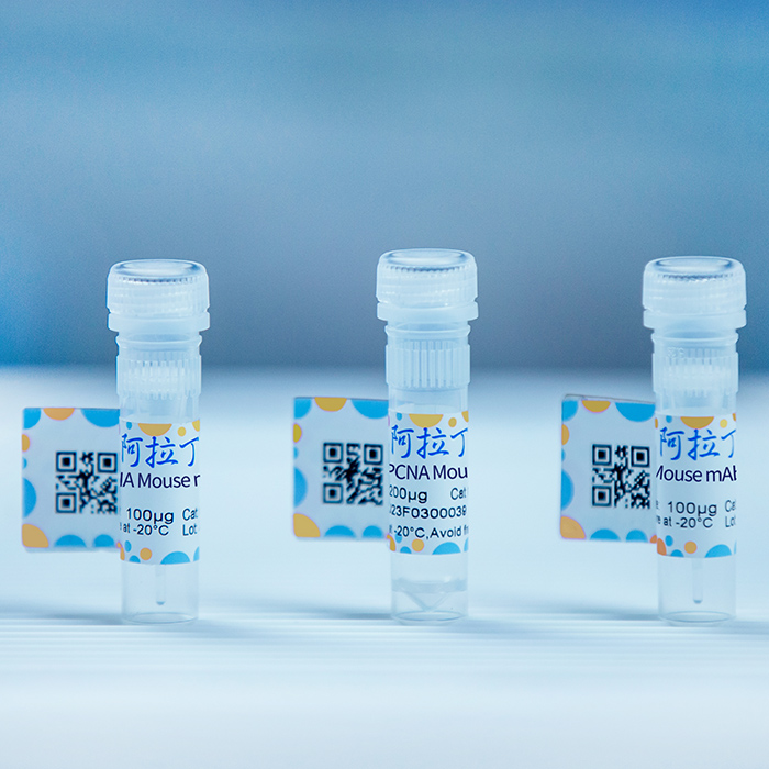 TAE缓冲液 (50×) ,BioReagent,生物染色剂,用于核酸电泳,50×,阿拉丁