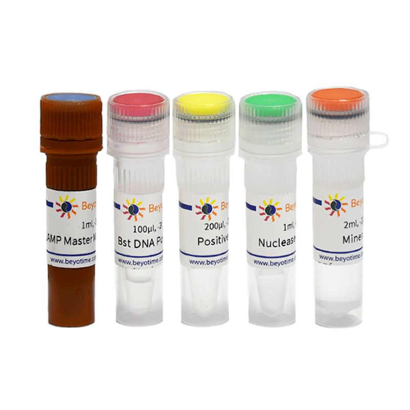 BeyoColor™等温扩增变色检测试剂盒