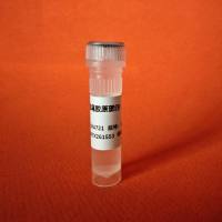 Collagen, Type I, from Rat Tail 鼠尾胶原蛋白I