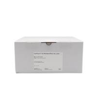 Roche 5582873001 RealTime ready Custom Panel 384 - 96