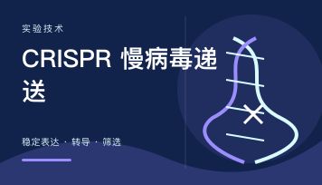 CRISPR与慢病毒结合有哪些优势