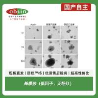 基质胶（低因子，无酚红）