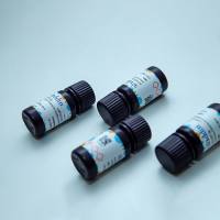 高纯 67:33 混合硼酸盐熔剂，≥99.98% metals basis, 67%Dilithium tetraborate33％lithium metaborate，阿拉丁