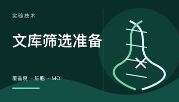 做CRISPR文库筛选需要哪些前期条件