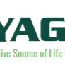 Monkey, Cynomolgus Genomic DNA产品图