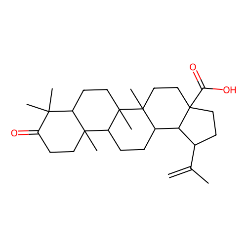 白桦脂酮酸,4481-62-3,10mM in DMSO,阿拉丁产品图