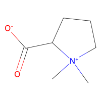 水苏碱，471-87-4，10mM in DMSO，阿拉丁