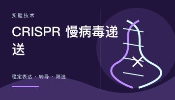 CRISPR KO慢病毒怎么选择