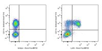 Alexa Fluor® 700 Rat Anti-Mouse Ly6G Antibody (1A8)