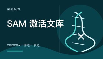 CRISPR SAM激活文库是什么