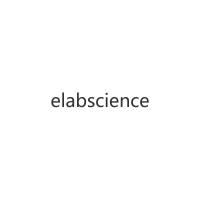 小鼠免疫球蛋白G(IgG)酶联免疫吸附测定试剂盒 Mouse IgG(Immunoglobulin G) ELISA Kit