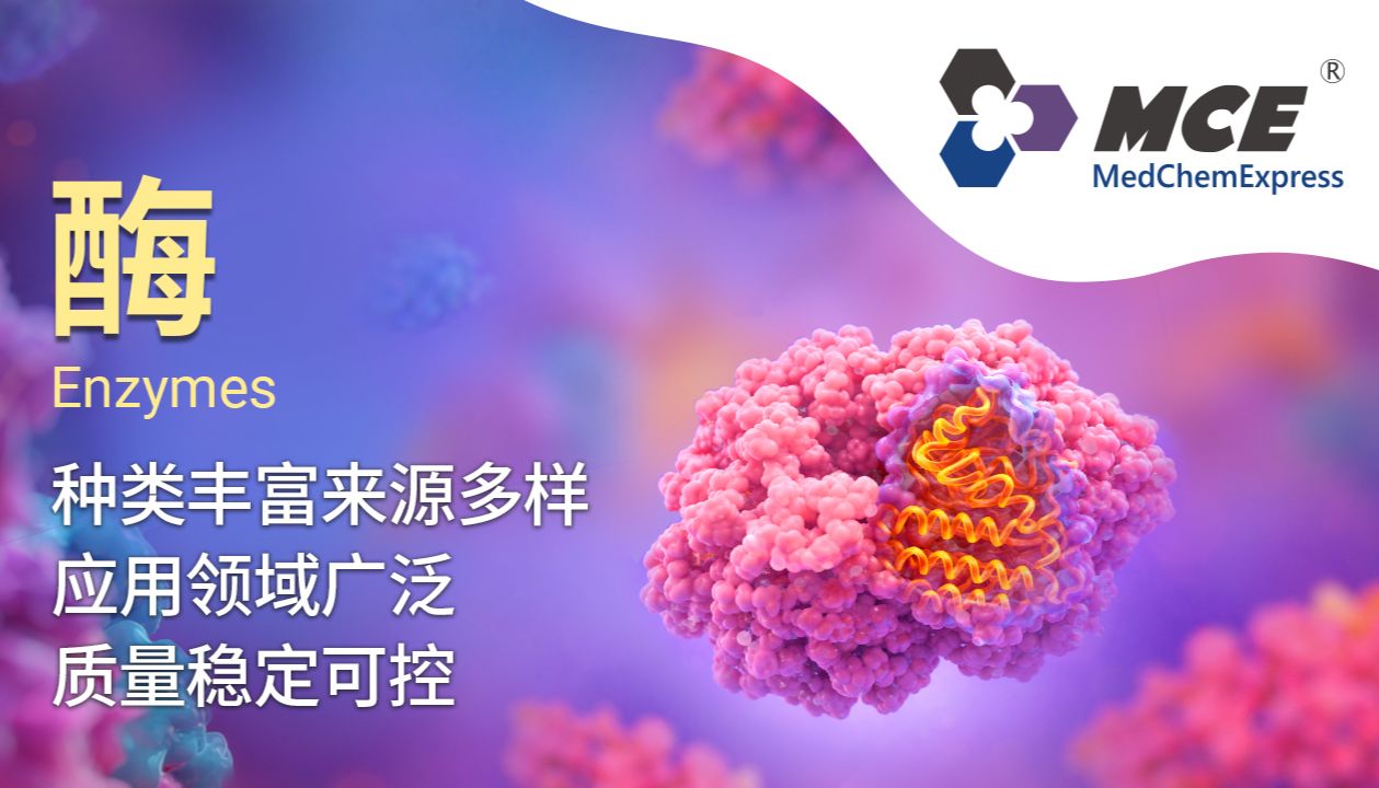 MCE 酶试剂产品线：高活性工具酶，赋能生命科学与生物医药全链条研究