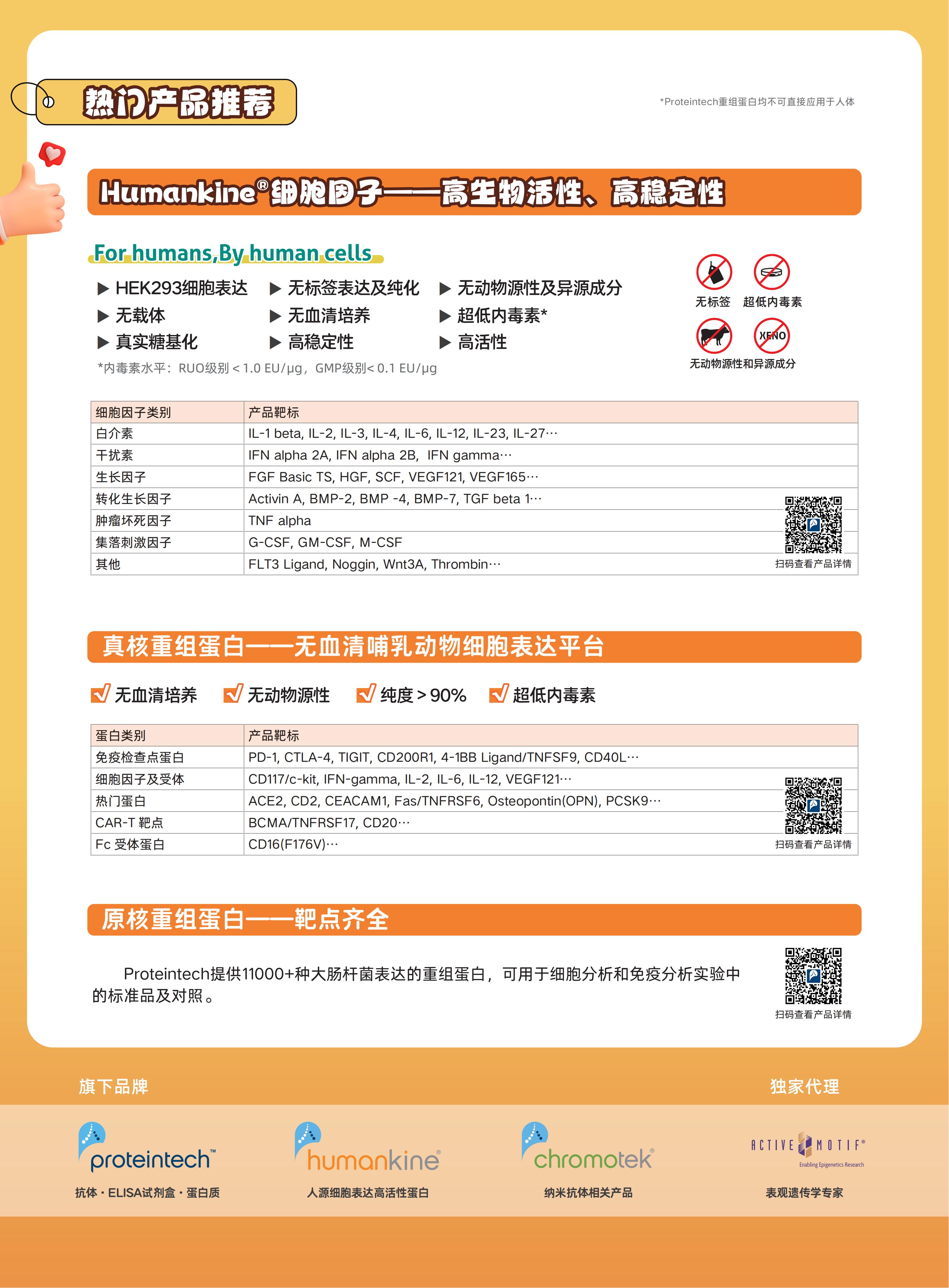 新闻图片2