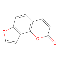 当归素,523-50-2,Moligand™,≥98%,阿拉丁