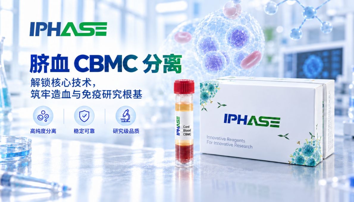 科研必备｜解锁脐血CBMC分离核心技术，筑牢造血与免疫研究根基
