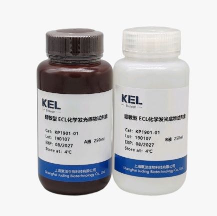 超敏型 ECL化学发光底物试剂盒