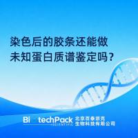 染色后的胶条还能做未知蛋白质谱鉴定吗？