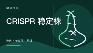CRISPR稳定株怎么构建