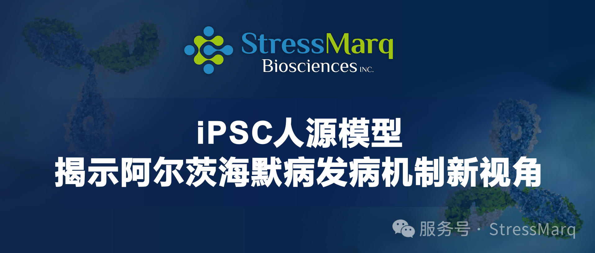 iPSC人源模型揭示阿尔茨海默病发病机制新视角